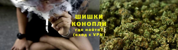 ПСИЛОЦИБИНОВЫЕ ГРИБЫ Алзамай