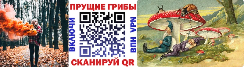 Галлюциногенные грибы Cubensis  Звенигород 