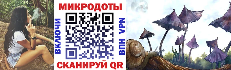 Галлюциногенные грибы Cubensis Звенигород
